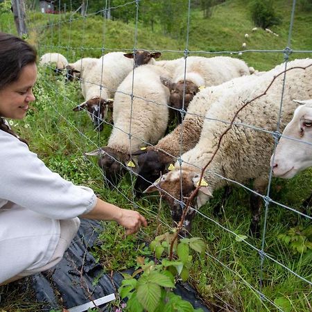 La Vieille Ferme, Ecogite Saint-Fulgence Exteriér fotografie