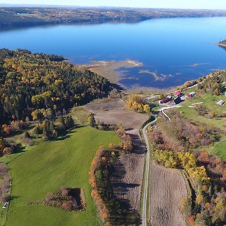 La Vieille Ferme, Ecogite Saint-Fulgence Exteriér fotografie