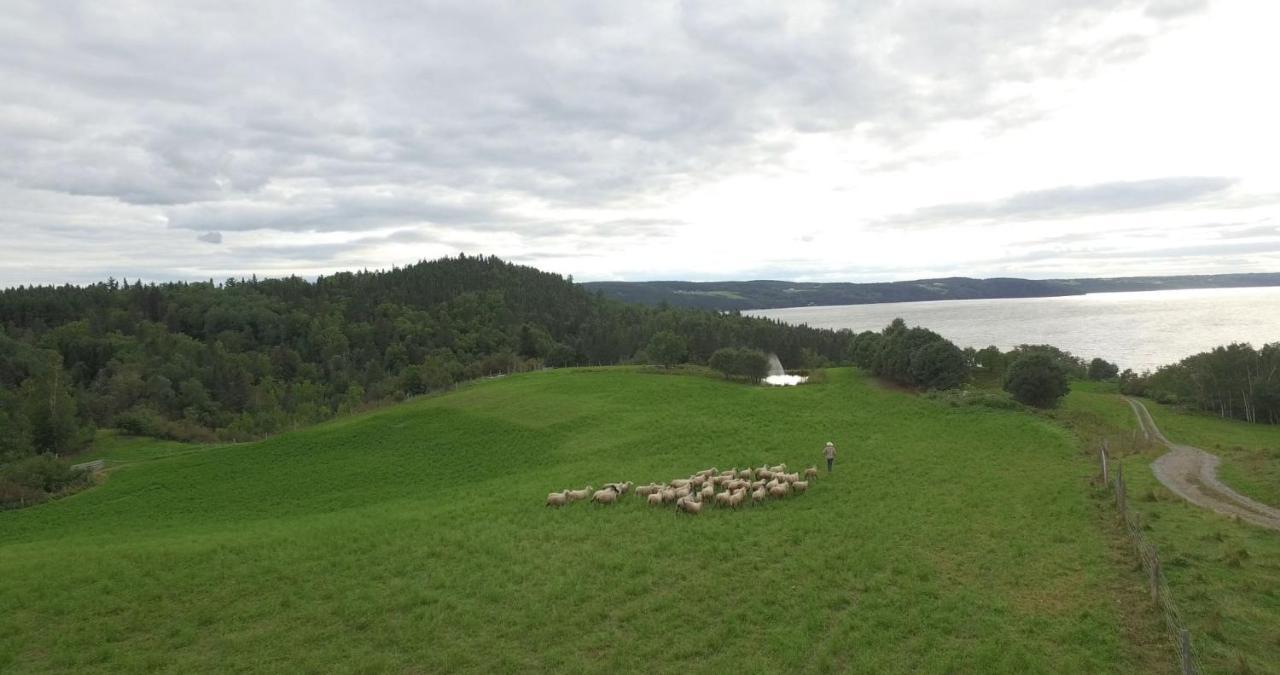 La Vieille Ferme, Ecogite Saint-Fulgence Exteriér fotografie