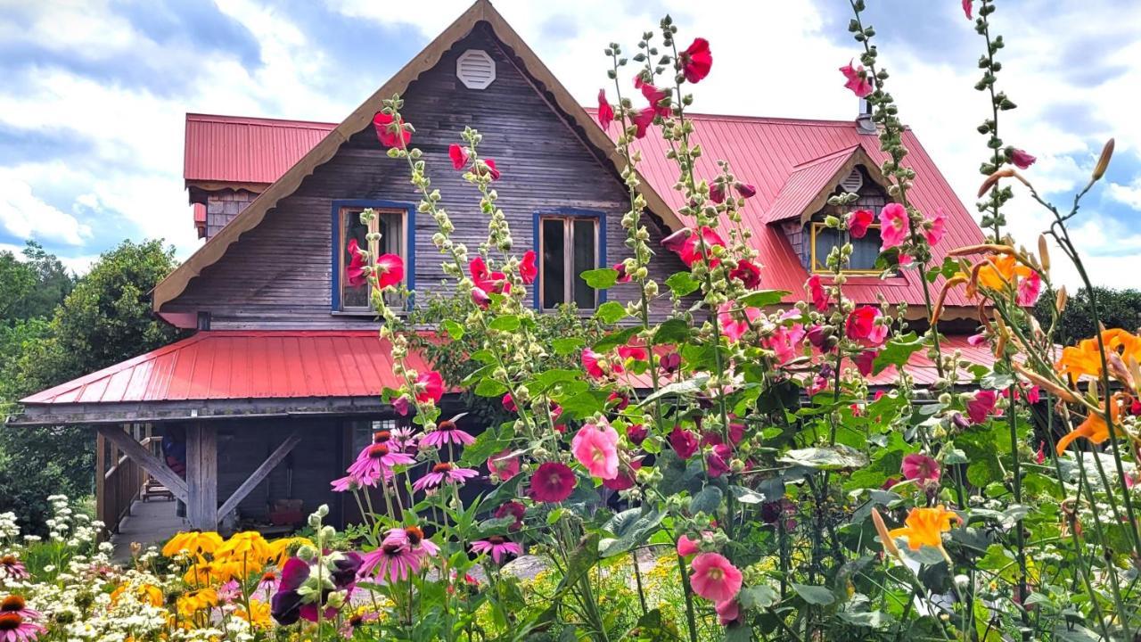 La Vieille Ferme, Ecogite Saint-Fulgence Exteriér fotografie