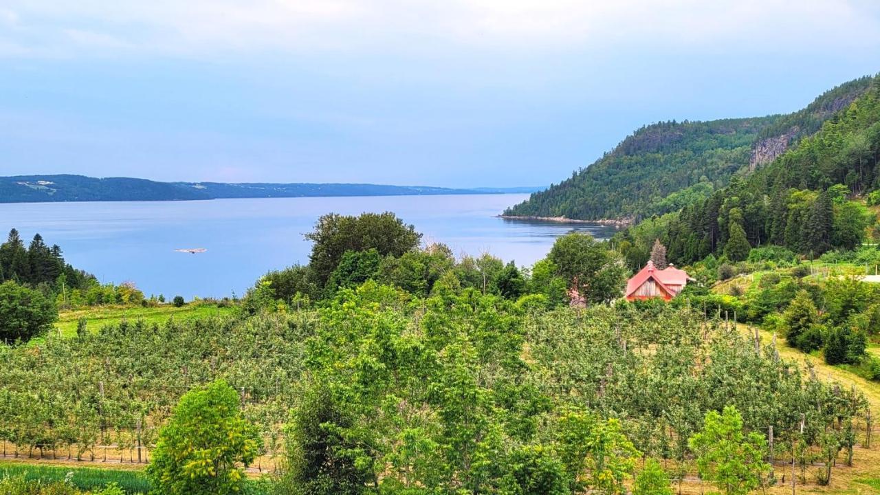 La Vieille Ferme, Ecogite Saint-Fulgence Exteriér fotografie