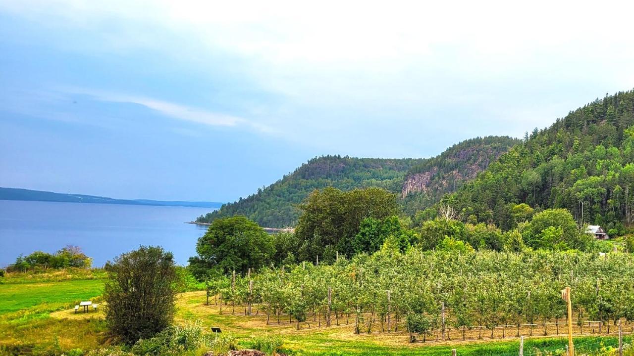 La Vieille Ferme, Ecogite Saint-Fulgence Exteriér fotografie