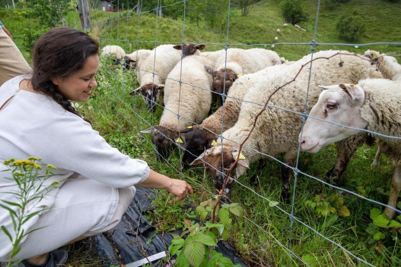 La Vieille Ferme, Ecogite Saint-Fulgence Exteriér fotografie