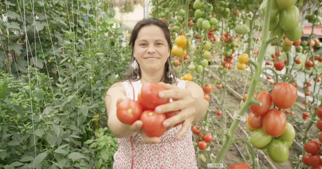 La Vieille Ferme, Ecogite Saint-Fulgence Exteriér fotografie