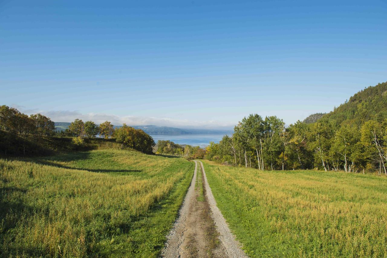 La Vieille Ferme, Ecogite Saint-Fulgence Exteriér fotografie